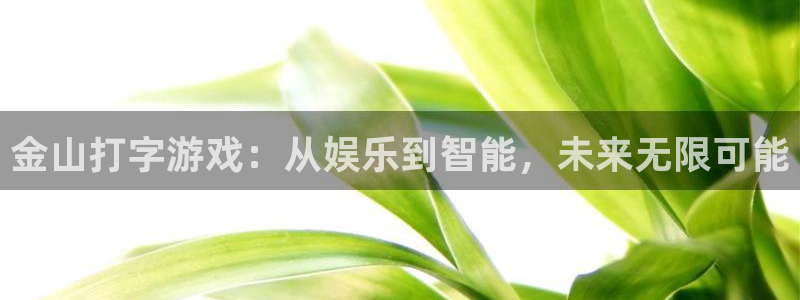 运达娱乐4招商：金山打字游戏：从娱乐到智能，未来无限可能